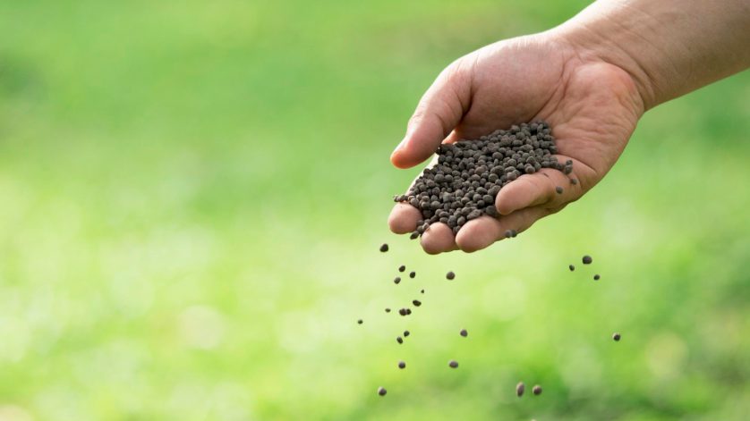 Best Practices for Applying Vigore with Neurospora crassa